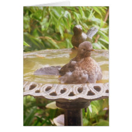 En fågel i badet hälsningskort