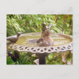 En fågel i badet vykort