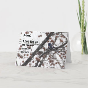 En fågel sa att du var under... kort