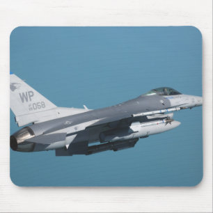 En falk för stridighet F-16 i flyg Musmatta