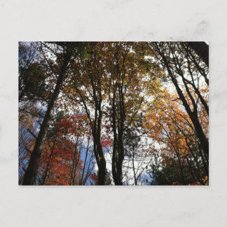 En fallökning i delstaten New York Vykort