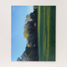 En Fält av eftertanke