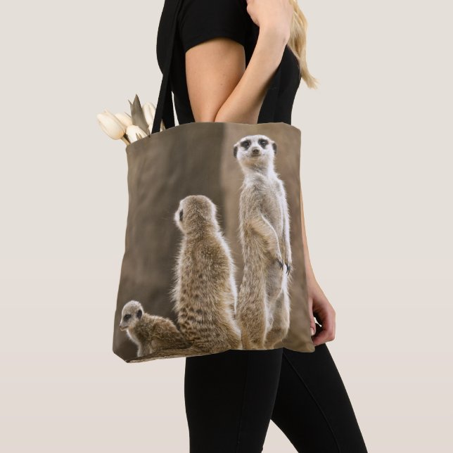 En familj av Meerkats Tygkasse (Närbild)