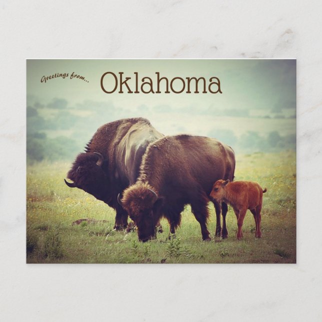 En familj i Bison i Oklahoma Vykort (Framsida)