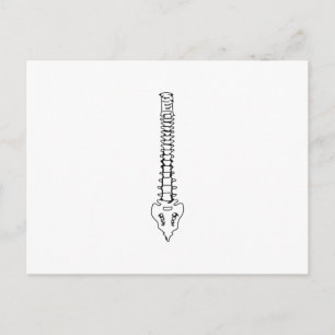 EN FÄRG-RINA VYKORT