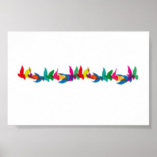 En färglös flygning i finare poster