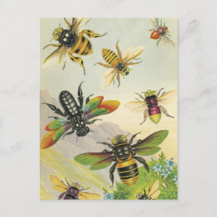 En fasad av vackra Bees-vykort Vykort