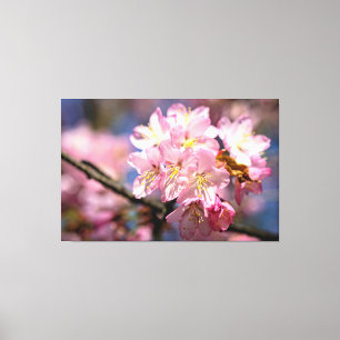 En festival med rosa Sakura-blommor på våren Canvastryck