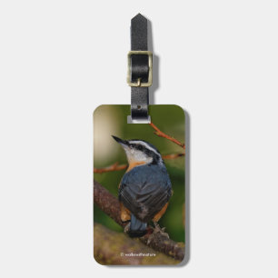 En fetstilt rödbrusten nuthatch bagagebricka