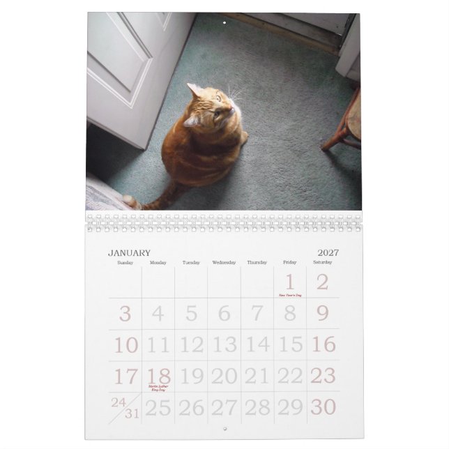 En fin Fandango~ om året av Louie Kalender (Jan 2027)