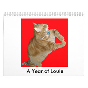 En fin Fandango~ om året av Louie Kalender