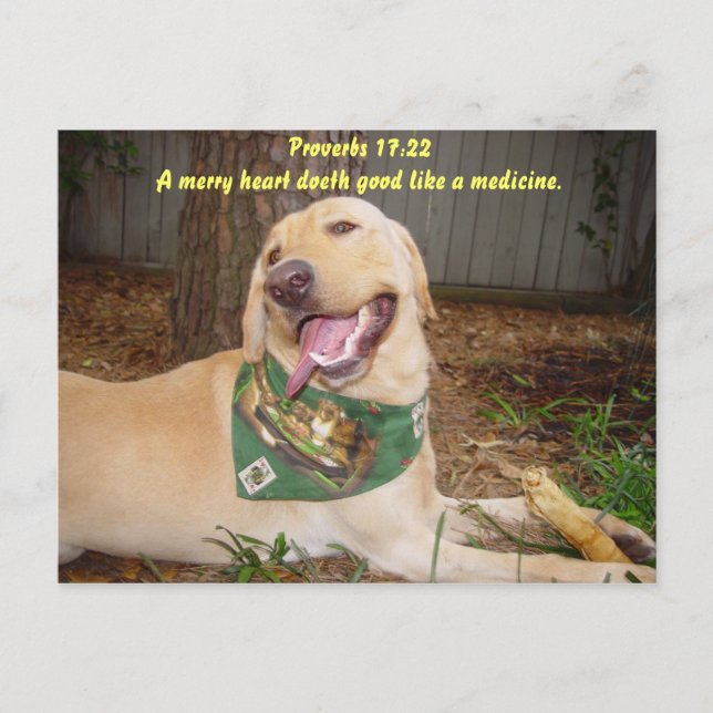 En fin hjärt-bra som en medicin. vykort (Framsida)