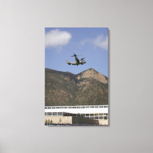 En fiskgjuse CV-22 Canvastryck