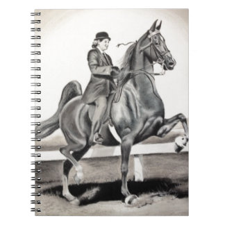 En flicka och en dröm av Linda Dalziel Anteckningsbok Med Spiral