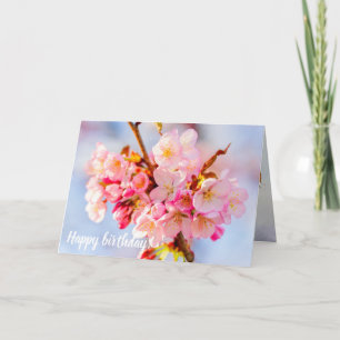 En flock av goda och sötade Sakura-blommor Kort