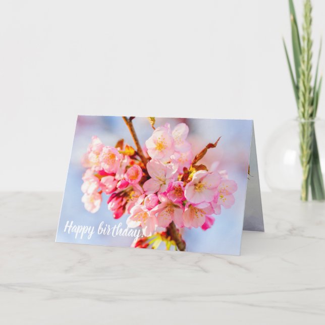 En flock av goda och sötade Sakura-blommor Kort (Framsida)