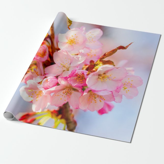 En flock av goda och sötade Sakura-blommor Presentpapper (Utrullad)