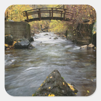 En flod som rinner genom American Fork Canyon Fyrkantigt Klistermärke