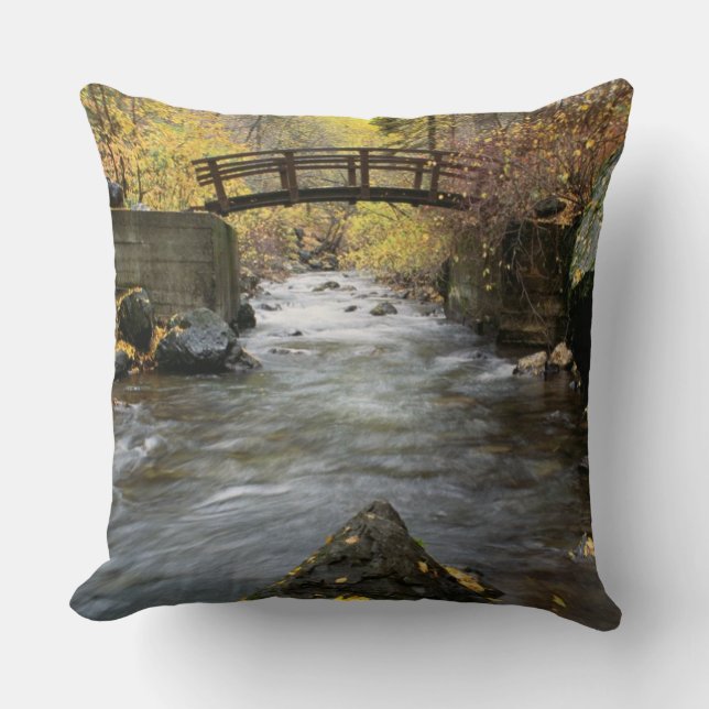 En flod som rinner genom American Fork Canyon Kudde (Framsida)