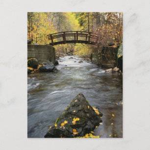 En flod som rinner genom American Fork Canyon Vykort