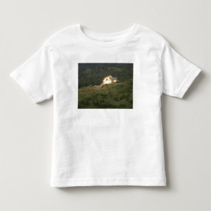 En flotta görar poäng en fullträff t shirt