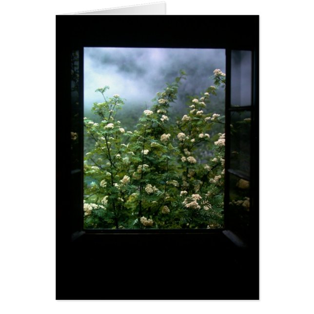 EN FÖRÄLSKAD KVINNA HÄLSNINGSKORT (Framsidan)