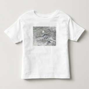 En förhållandevis sällsynt filt av is t-shirt