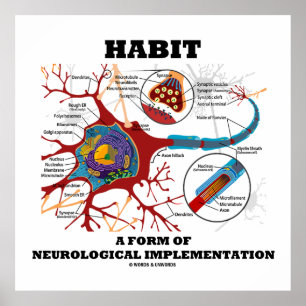 En form av neurologisk implementering av euron poster
