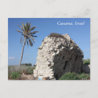 En forntida vägg med en palmträd, Caesarea, Israel Vykort