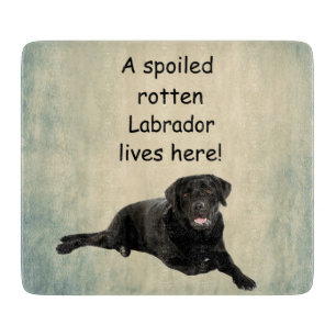 En förstörd Rotten Labrador bor här