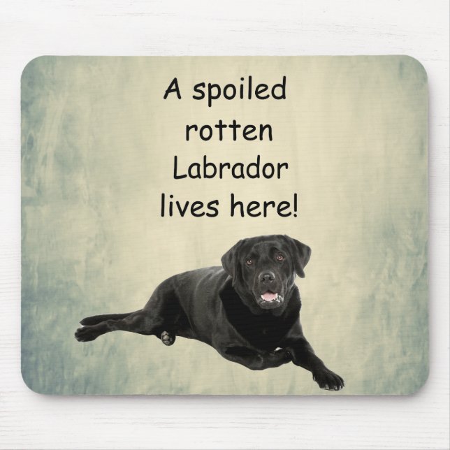 En förstörd Rotten Labrador bor här Musmatta (Framsidan)