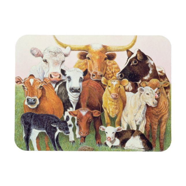 En förvånande främling magnet (Horisontell)