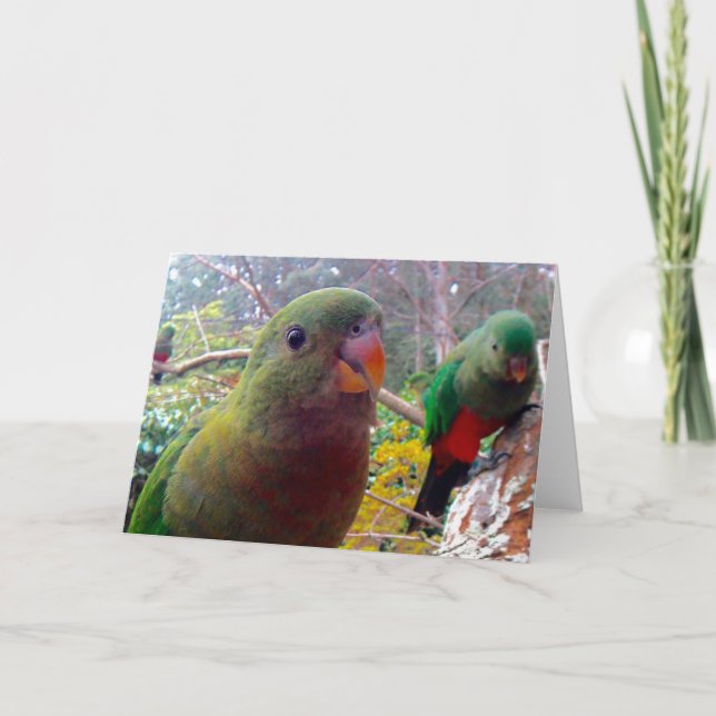 En fotografera av ett kvinnligt kort för kung (Framsida)