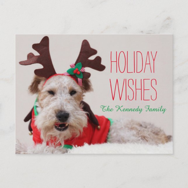 En foxterrier är utklädd för jul helg vykort (Framsida)