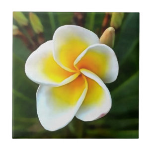En fransk Blommar Realism Art Kakelplatta