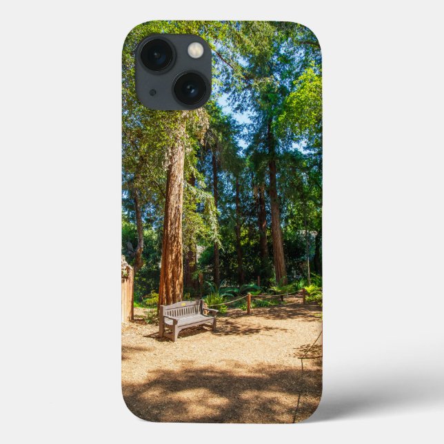 En fredlig gångväg i Descanso Gardens (Baksida)