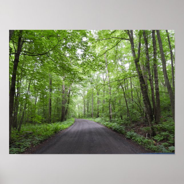 En fredlig promenad i Skogen Poster (Framsidan)