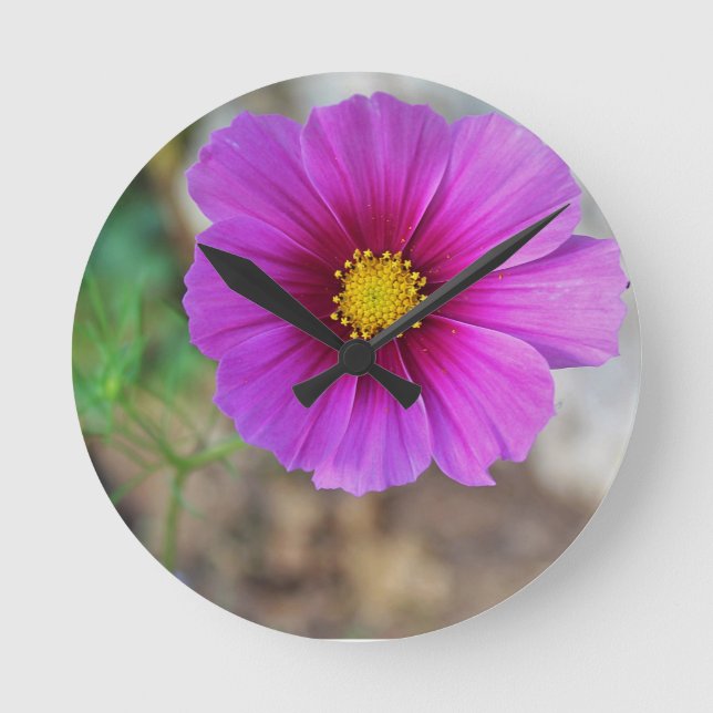 En galaxinsida en blomma rund klocka (Framsida)