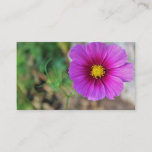 En galaxinsida en blomma