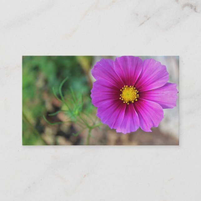 En galaxinsida en blomma visitkort (Framsida)