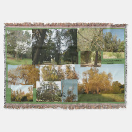 En galen kopia av golden Thousand Oaks-parkscener Mysfilt