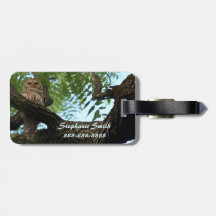 En gallerförsedd uggla på en gren i skogen