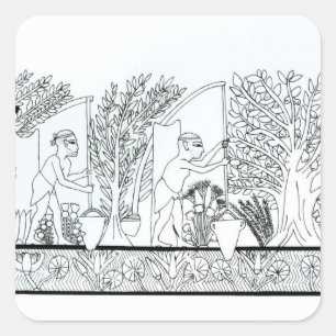 En gammal egyptisk trädgård (engrave) (b/w bild) fyrkantigt klistermärke