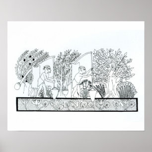En gammal egyptisk trädgård (engrave) (b/w bild) poster