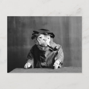En gammal Hund: 1905 Vykort