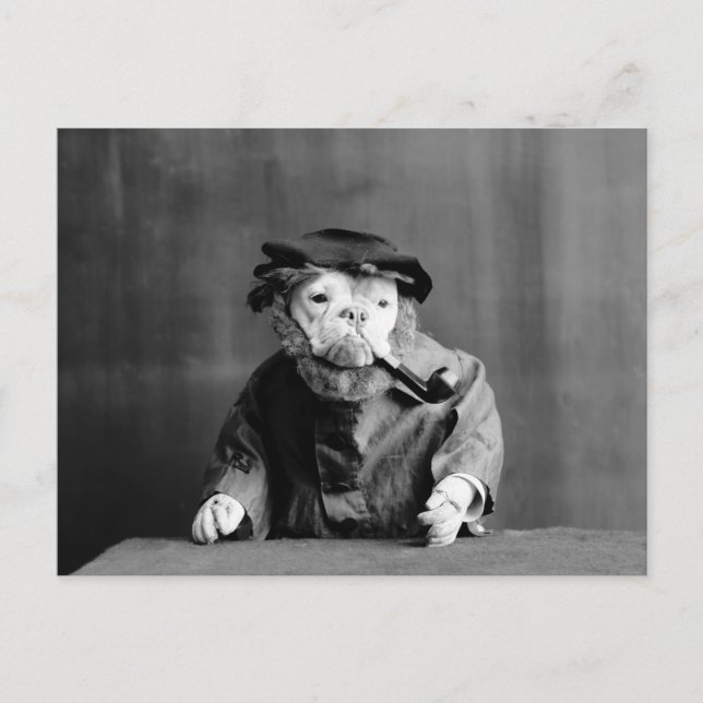 En gammal Hund: 1905 Vykort (Framsida)