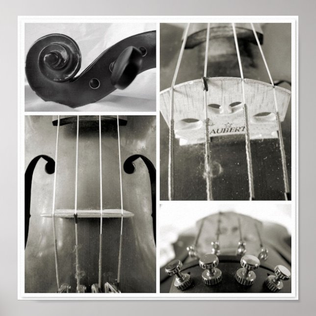 En gammal Violas fotopatrering av delar Poster (Framsidan)