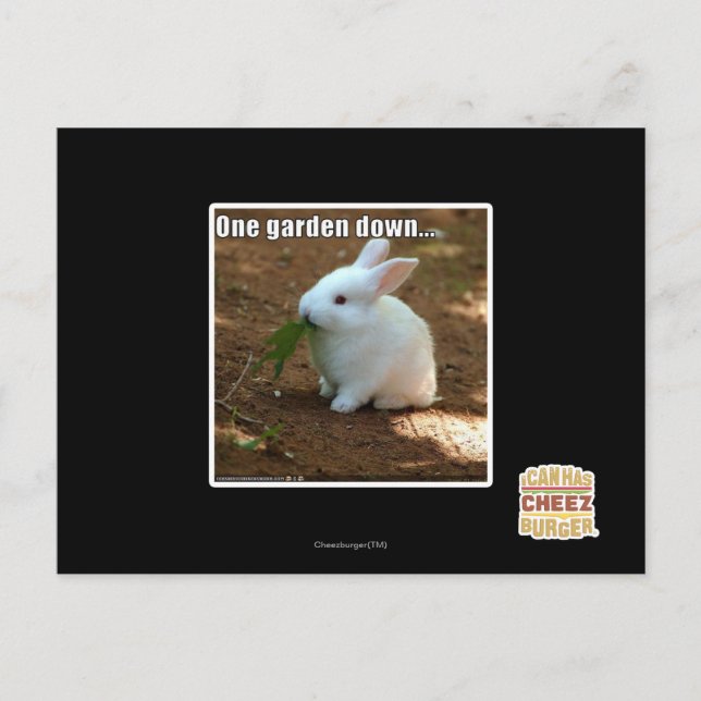 En Garden Down � Vykort (Framsida)