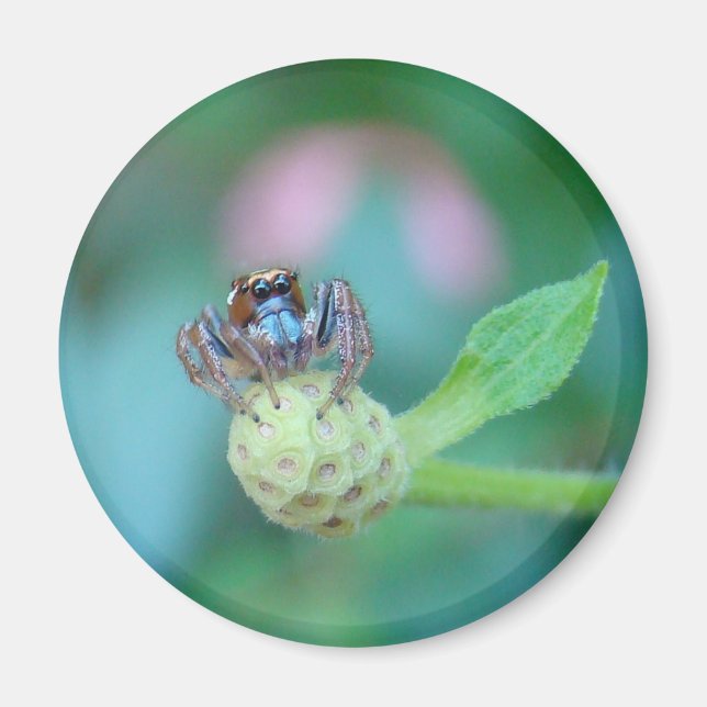 En Garden Friend! Magnet (Framsidan)