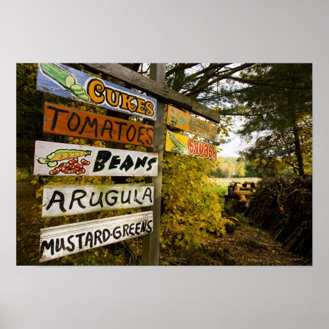 En gårdsplats i Holderness, New Hampshire. Poster (Framsidan)